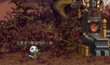 《DNF》11周年熊猫每日位置汇总