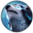 《LOL》云顶之弈职业效果一览