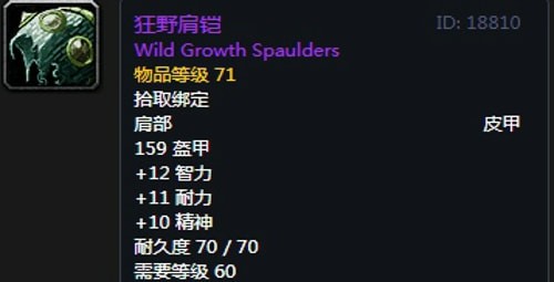 《魔兽世界》怀旧服黑翼之巢奶萨毕业装备汇总