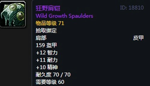 《魔兽世界》怀旧服第三阶段奶德毕业装备汇总