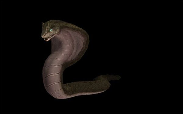 《魔兽世界》8.3猎人新增宠物获得方法详情