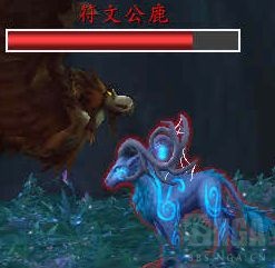 《魔兽世界》9.0猎人宠物刷新点介绍