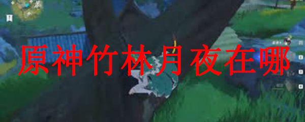 原神竹林月夜在哪