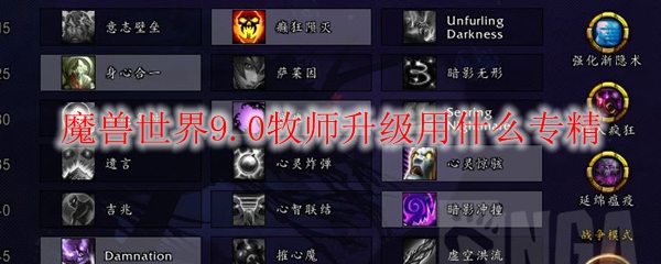 魔兽世界9.0牧师升级用什么专精