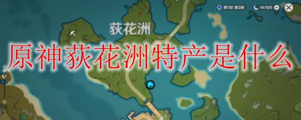 原神荻花洲特产是什么