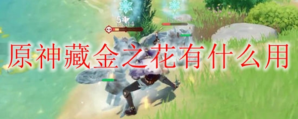 原神藏金之花有什么用