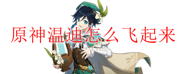 原神温迪怎么飞起来