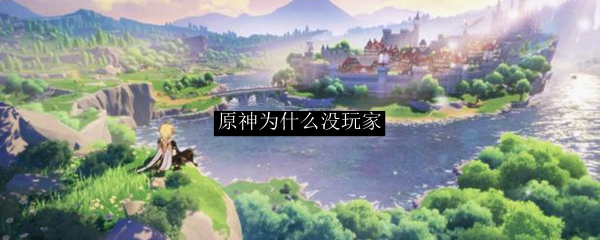 原神为什么没玩家