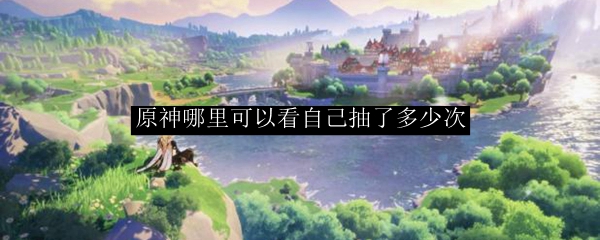 原神哪里可以看自己抽了多少次