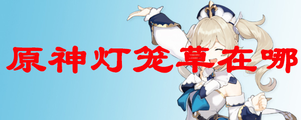 原神灯笼草在哪