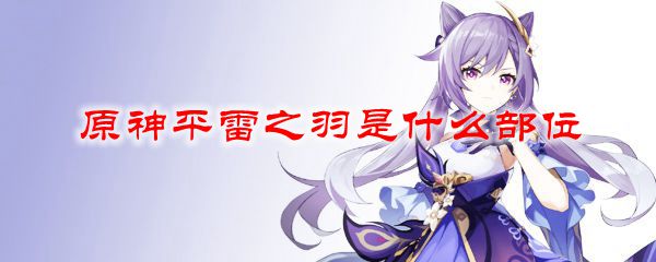 原神平雷之羽是什么部位