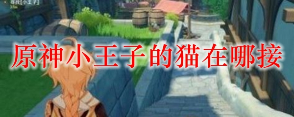 原神小王子的猫在哪接