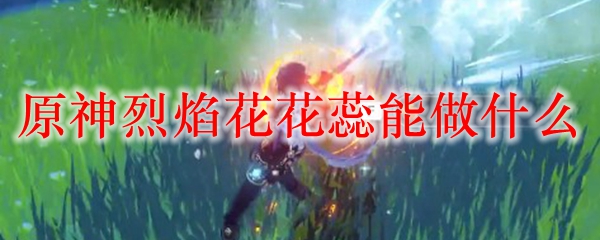 原神烈焰花花蕊能做什么