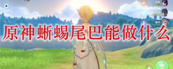 原神蜥蜴尾巴能做什么