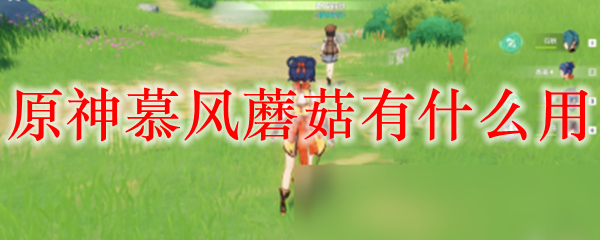 原神慕风蘑菇有什么用