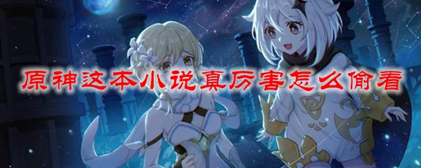 原神这本小说真厉害怎么偷看