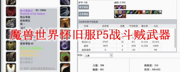 魔兽世界怀旧服P5战斗贼武器
