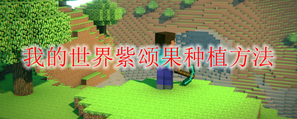 我的世界紫颂果种植方法