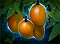 《DOTA2》7.27装备改动介绍