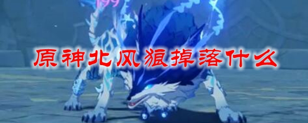 原神北风狼掉落什么
