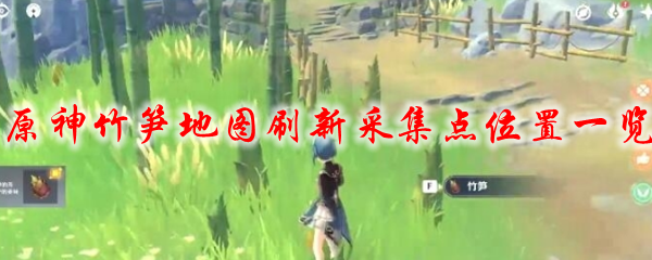 原神竹笋地图刷新采集点位置一览