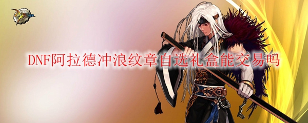 DNF阿拉德冲浪纹章自选礼盒能交易吗