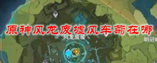原神风龙废墟风车菊在哪