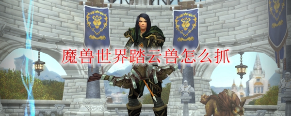 魔兽世界踏云兽怎么抓