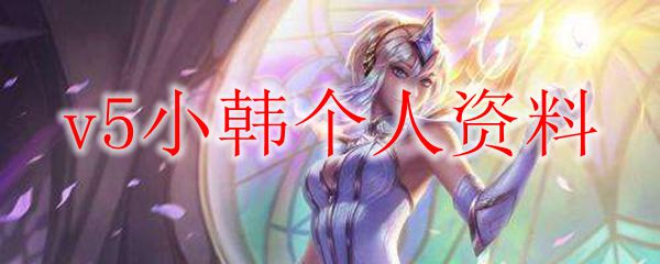 v5小韩个人资料