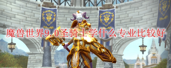 魔兽世界9.0圣骑士学什么专业比较好