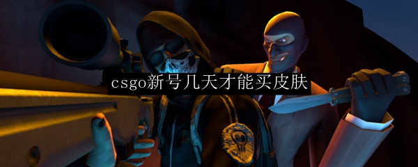 csgo新号几天才能买皮肤