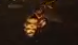 《FF14》死宫101-110层攻略
