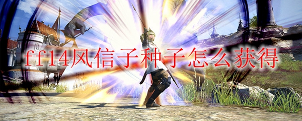 ff14风信子种子怎么获得