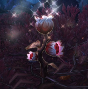 《魔兽世界》孀花怎么获得