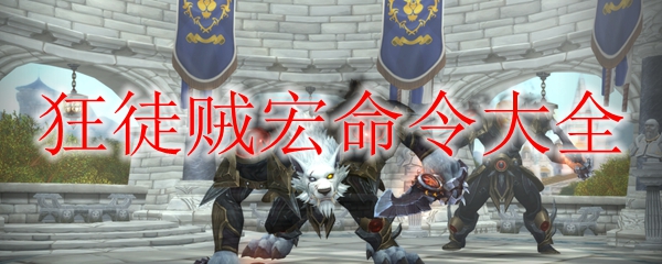 《魔兽世界》9.0狂徒贼宏命令大全