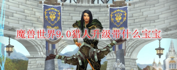 魔兽世界9.0兽王猎人升级带什么宝宝