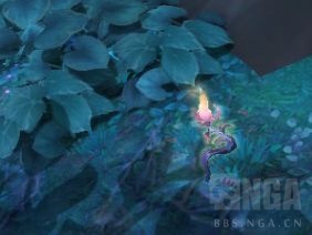 《魔兽世界》9.0慰魂之光采集汇总