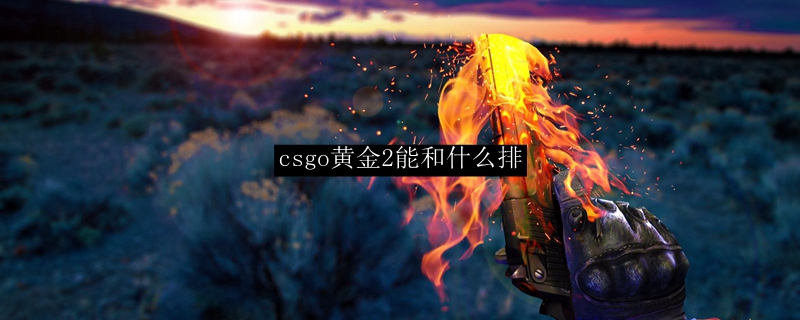 csgo黄金2能和什么排