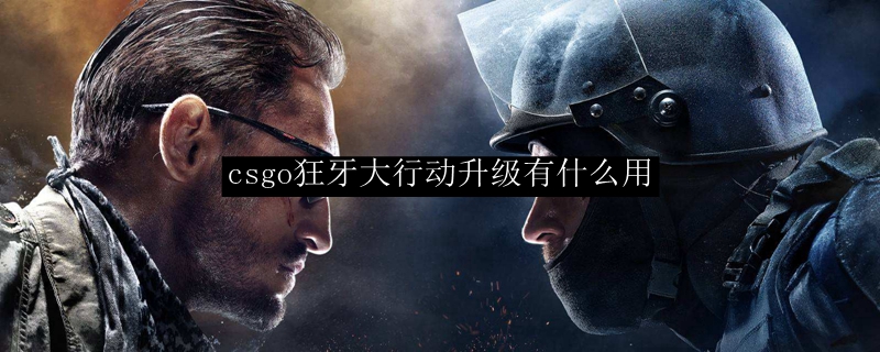 csgo狂牙大行动升级有什么用