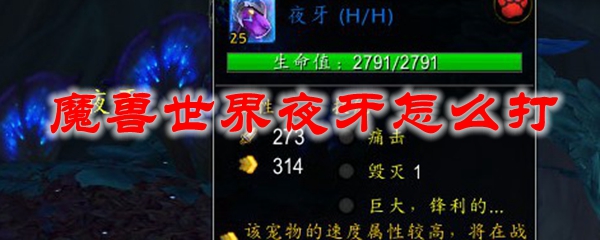 魔兽世界夜牙怎么打