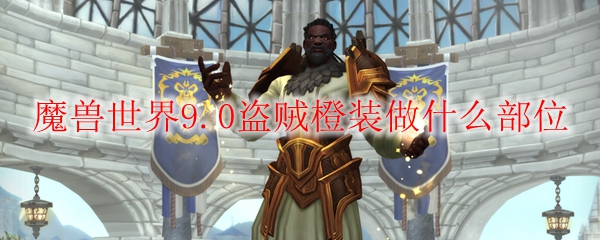 魔兽世界9.0盗贼橙装做什么部位