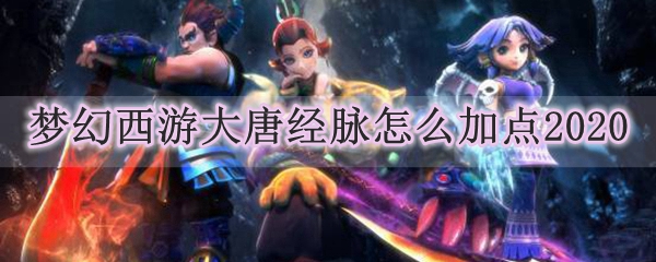 梦幻西游大唐经脉怎么加点2020