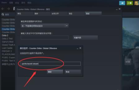 csgo国服启动项怎么设置