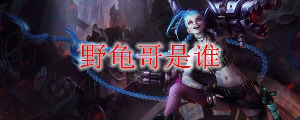 野龟哥是谁