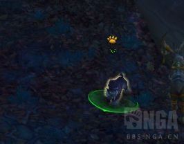 魔兽世界炽蓝仙野宠物对战攻略