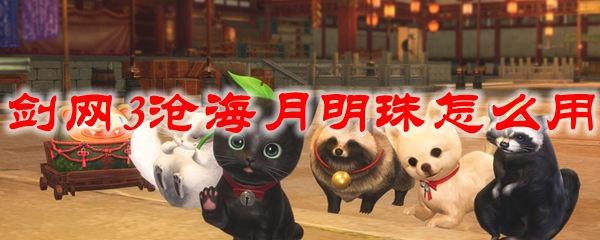剑网3沧海月明珠怎么用