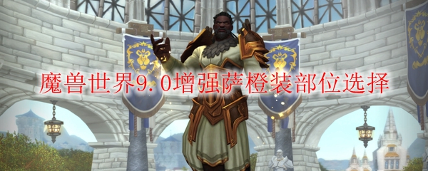 魔兽世界9.0增强萨橙装部位选择