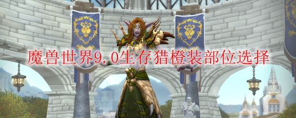 魔兽世界9.0生存猎橙装部位选择