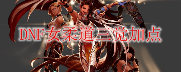 DNF女柔道三觉加点