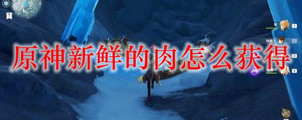 原神新鲜的肉怎么获得